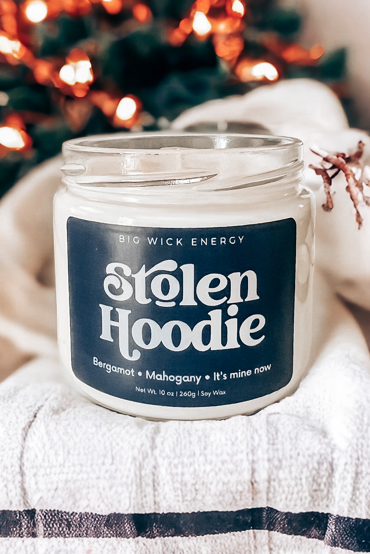 STOLEN HOODIE