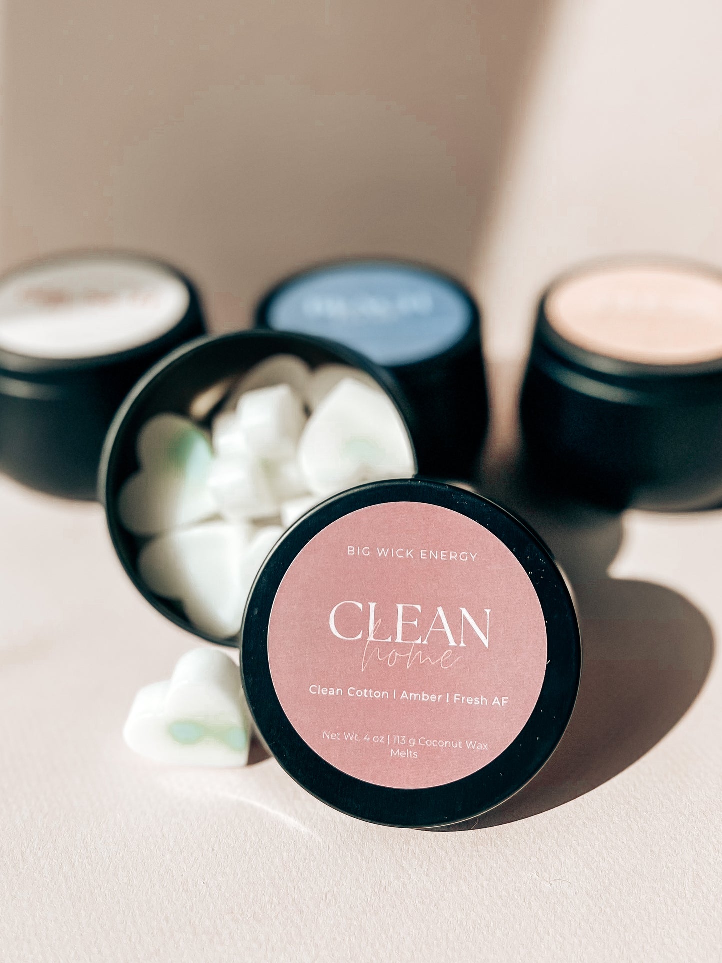 CLEAN HOME WAX MELTS